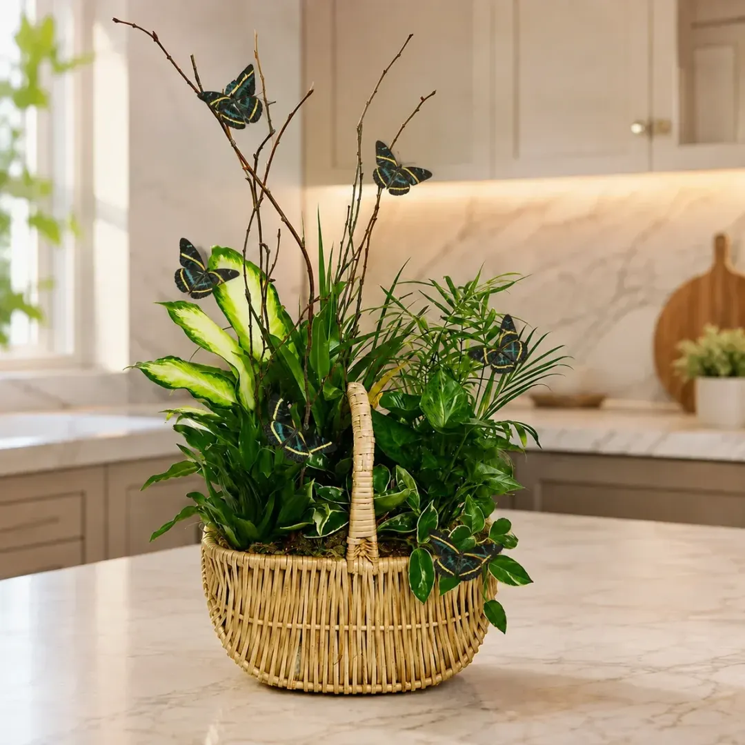Butterfly Planter Basket