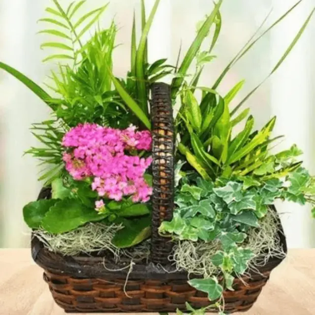Blooming Planter Basket