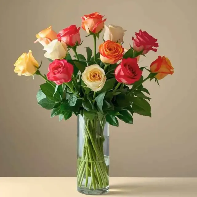 One Dozen Roses