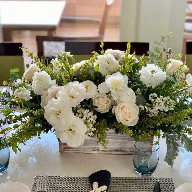 Elegant Snowy Medley