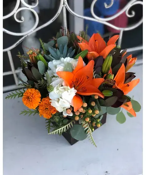 Autumn's Harvest