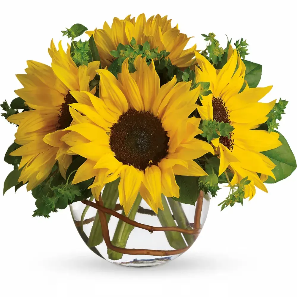 Sunny Sunflower