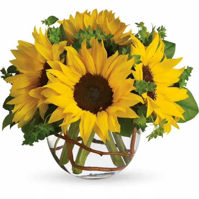 Sunny Sunflower