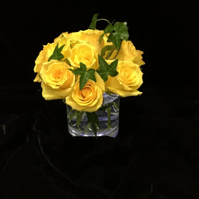 Yellow roses