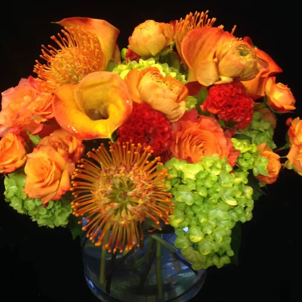 Trendy Tangerine