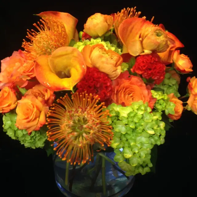 Trendy Tangerine