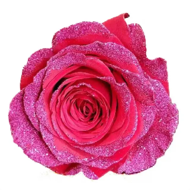 Pink Glitter Roses in a Hand-Wrapped Bouquet
