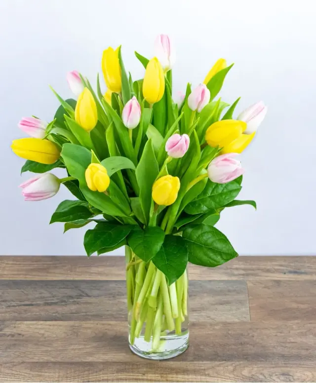 Strawberry Lemonade Tulips