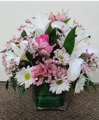 Beautiful Lily Day Fhf-M01