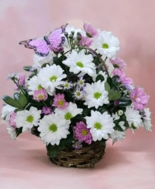 Fluttering Butterfly Basket Fhf-M02