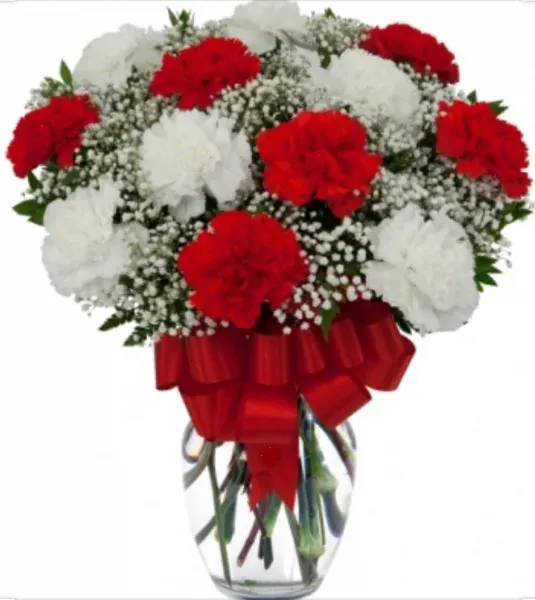 Loving Red and White Carnation Vase