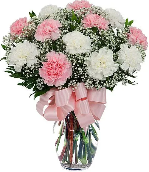 Fancy Pink and White Carnations