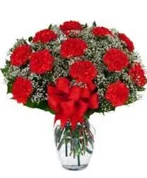 Bright Happy Red Carnation