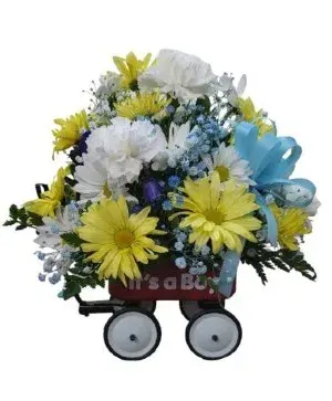 Baby Boy's New Wagon Fhf-Bw-2