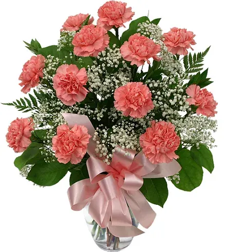 Classy Pink Carnations