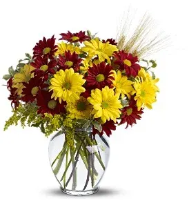 Fall for Daisies Tfweb446