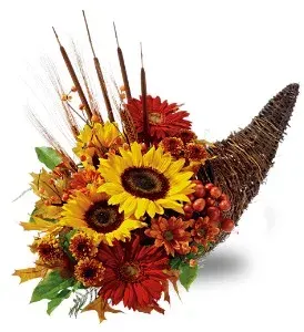 Country Cornucopia Tfweb65