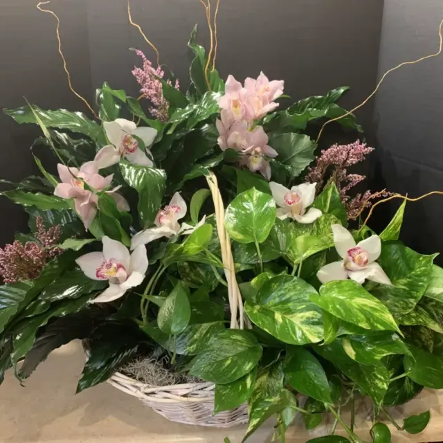 Indoor Garden Basket