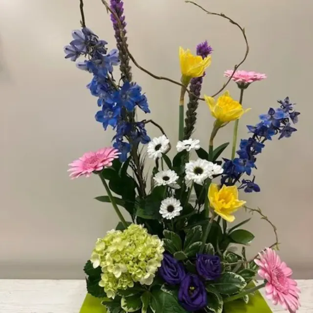 Contemporary Spring