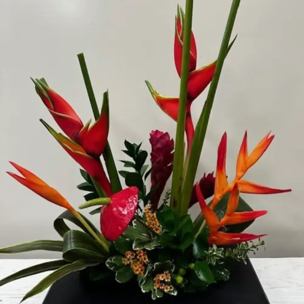 Tropical Mix
