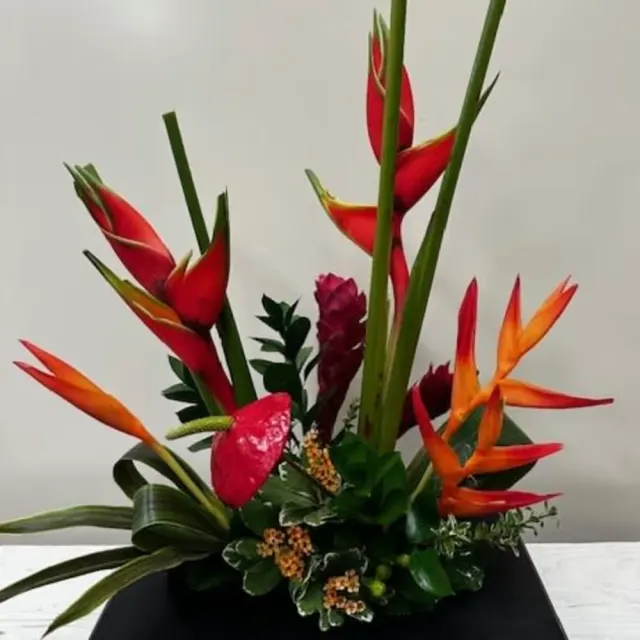 Tropical Mix