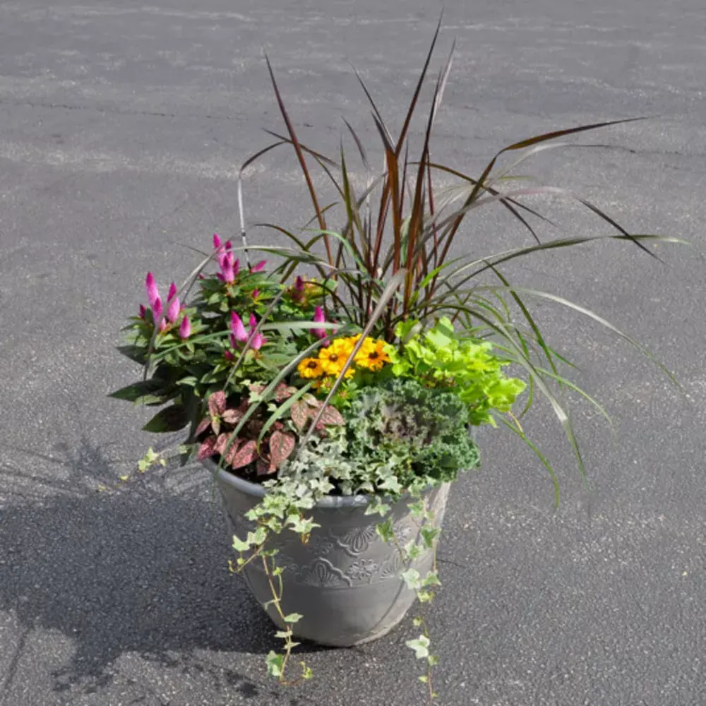 Fall Patio Planter XL