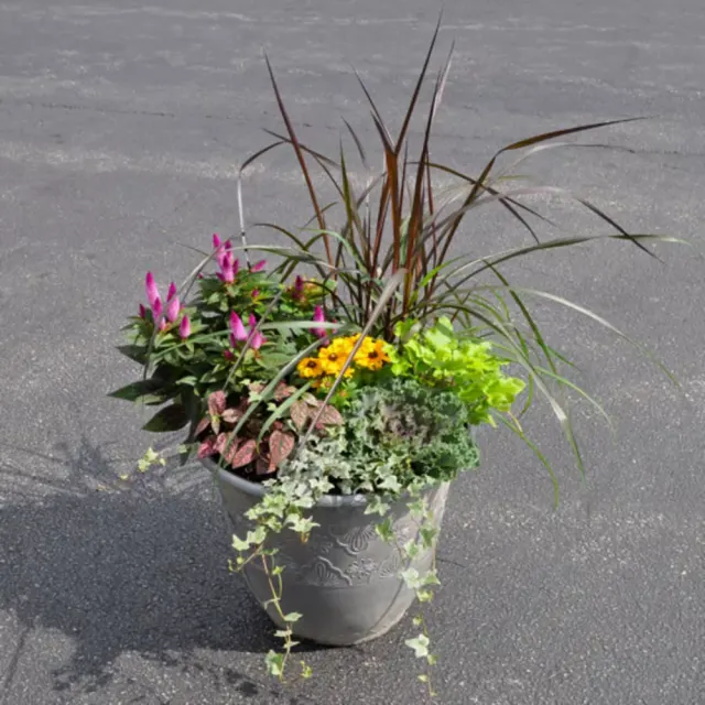 Fall Patio Planter XL