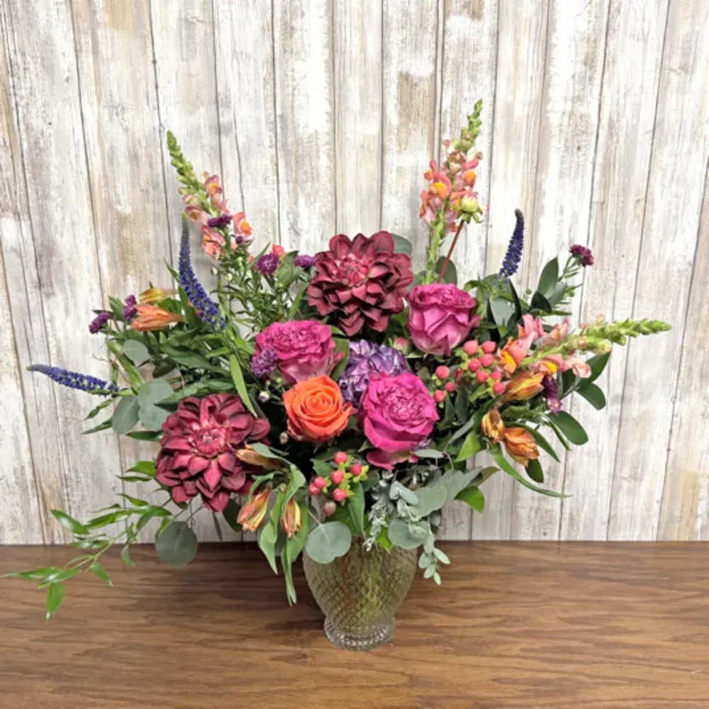 Dahlia Delight