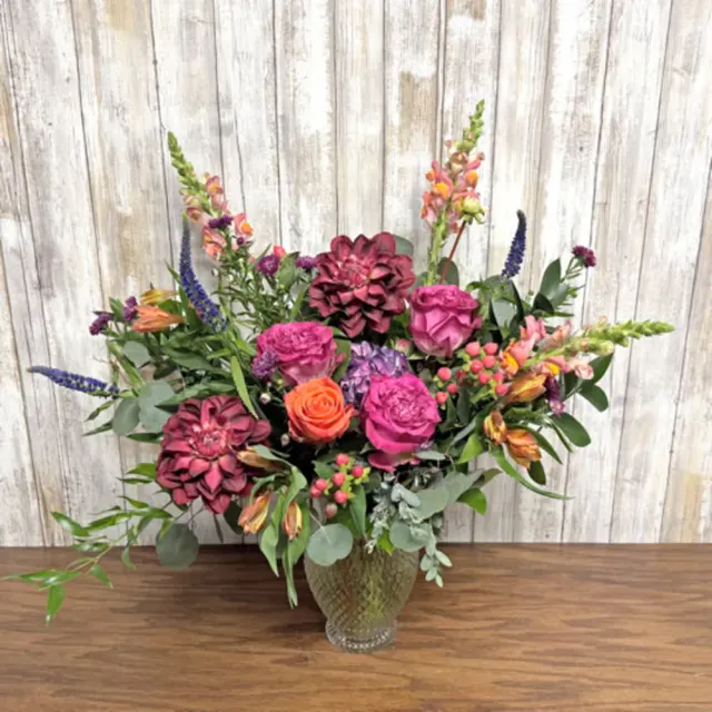 Dahlia Delight