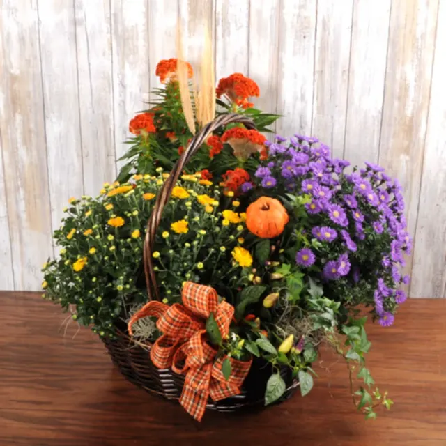 Fall Garden