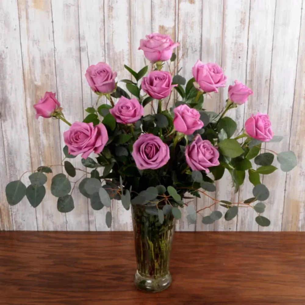 Lavender roses