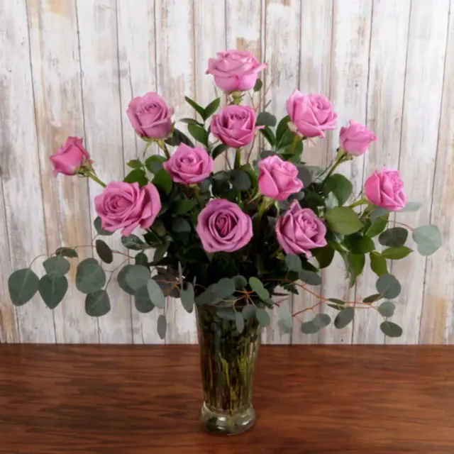 Lavender roses