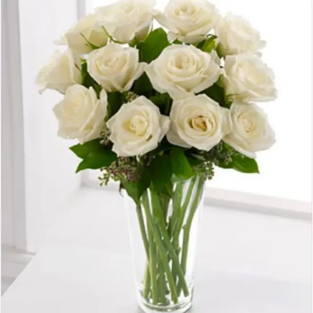 White Rose Simplicity