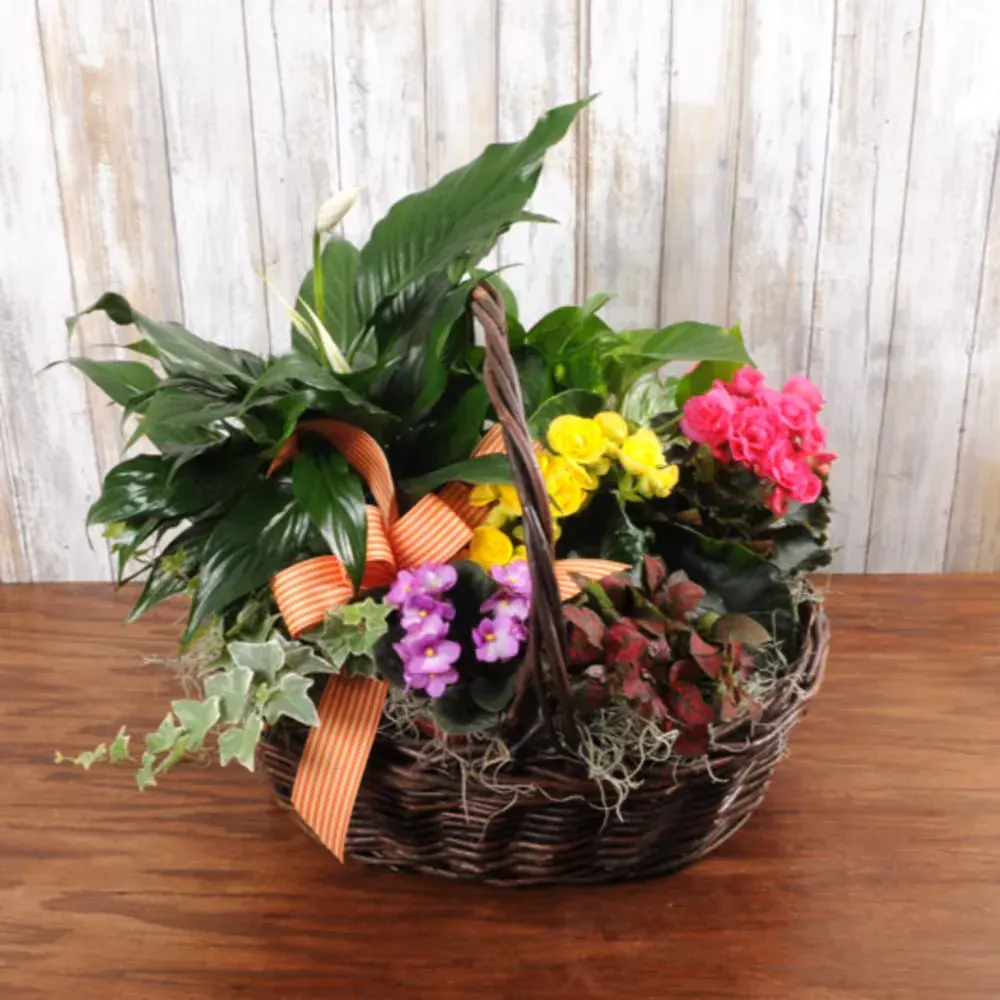 Garden Blooms Plant Basket