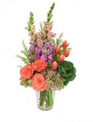 Spring-Spiration!