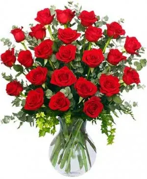24 Radiant Roses