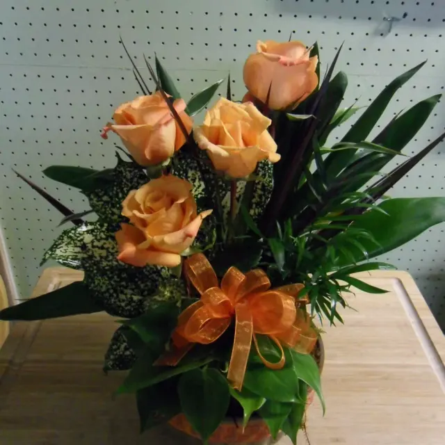 Dish Garden accented w/ Cut Flowers (cut flowers color may vary)