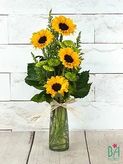 Sunflower Cheer