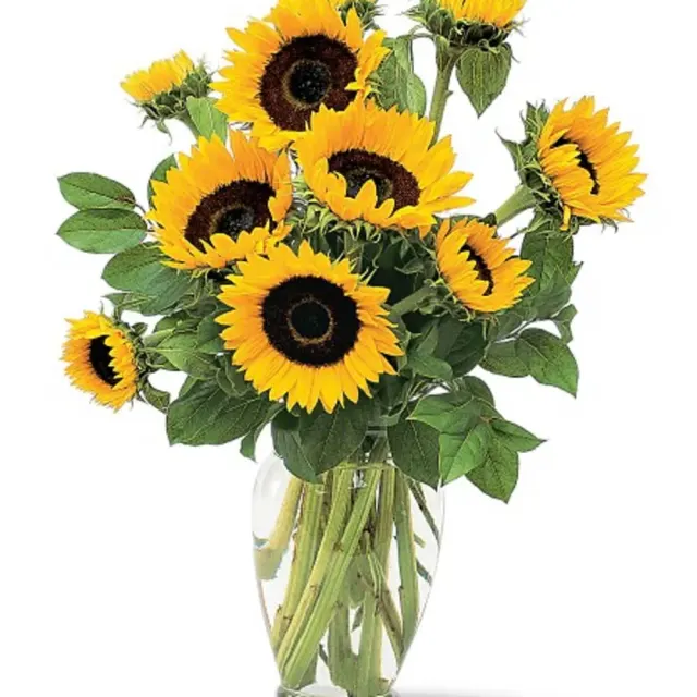 Shining Sunflowers Bouquet