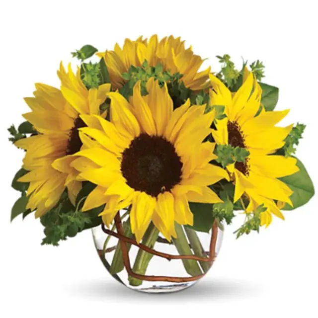 Sunflowers