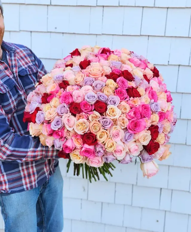 200 Premium Roses