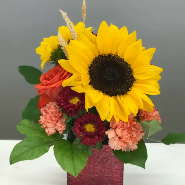 Sunflower's Smile