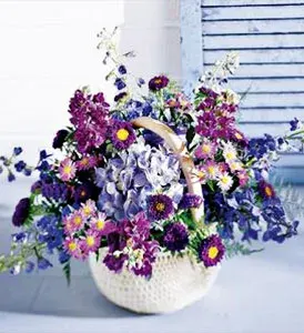 Basket of Beauty