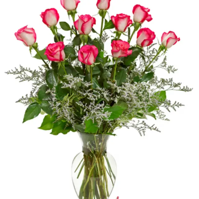 A Dozen Bi-Colored Roses