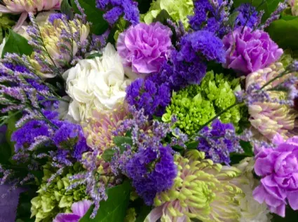 Happy Hydrangeas
