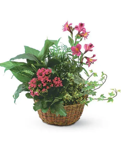 Garden Basket with Fresh Flowers Added