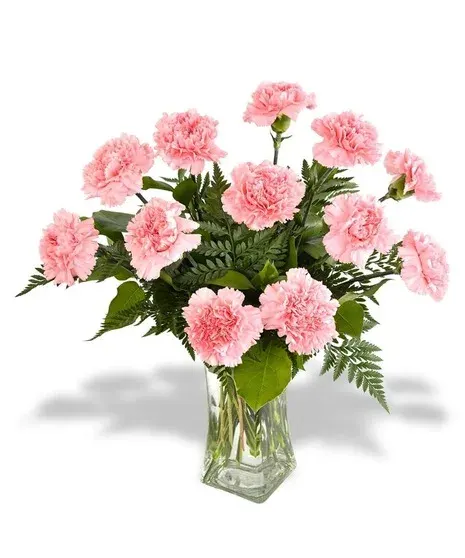 Dozen Pink Carnations