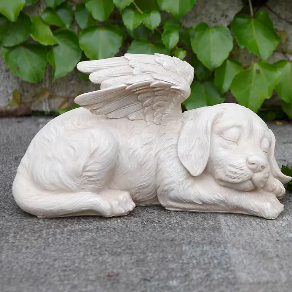 Sleeping Angel Dog
