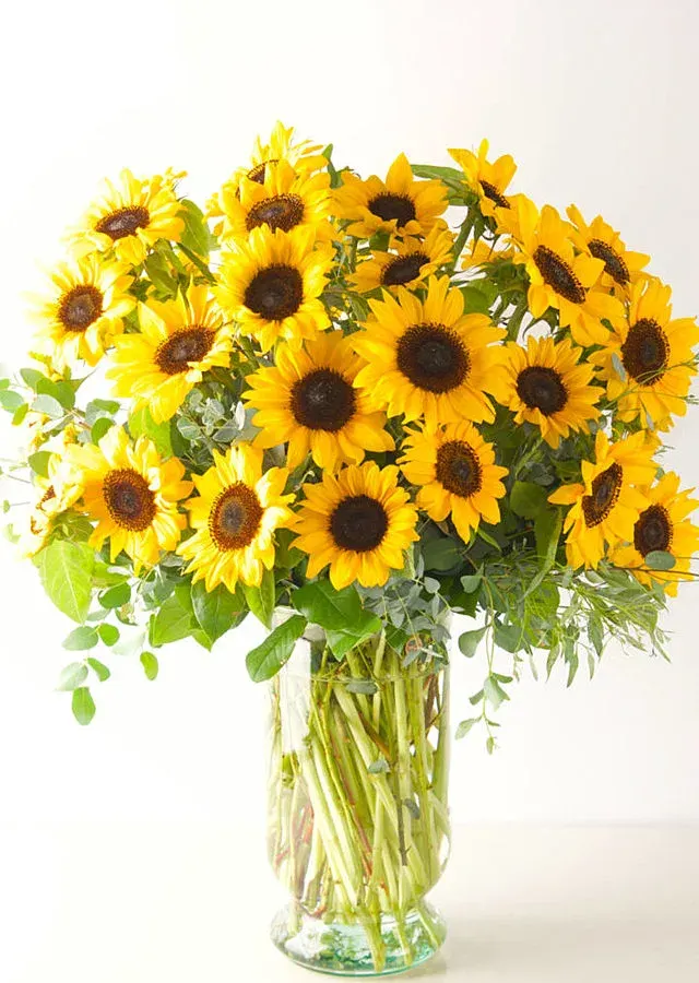 You are the sunshine of my life