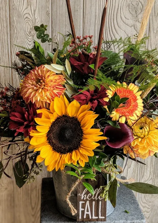 Hello Fall